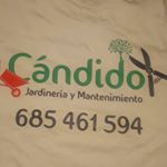 Profile Picture of Cándido Cruz González (@candido__jardines) on Instagram