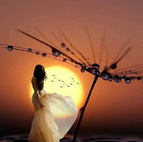 Profile Picture of Bovya Bovya (@bovyabovya20) on Poshmark