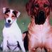 Profile Picture of Dieter Schultz (@dieter.schultz.39) on Facebook