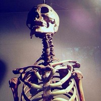 Profile Picture of Min Li (@min-li-29) on Quora