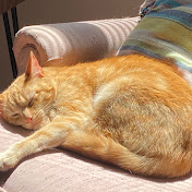 Profile Picture of Stacey Mullins (@staceymullins485) on Youtube