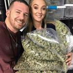 Profile Picture of Martin Holt (@supermedicalbuds) on Instagram