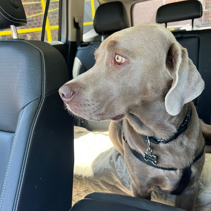 Profile Picture of Hynek (@hynek_1975) on Tiktok