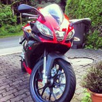 Profile Picture of Adam Stallman (@hipposaropa) on Instagram