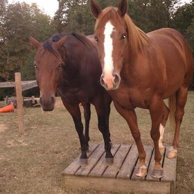 Profile Picture of Roberta Hill (@marrion) on Pinterest