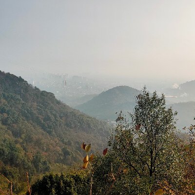 Profile Picture of Liu Qing (@liuqing49977903) on Twitter