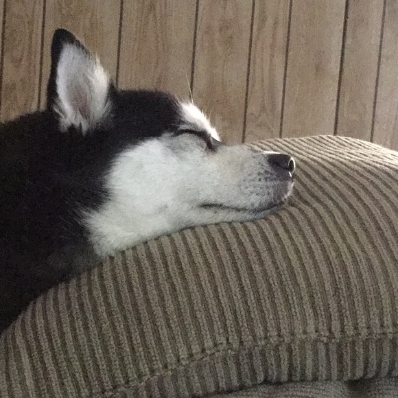 Profile Picture of Jeromy Anderson (@jeromyanderson7) on Poshmark