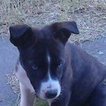 Profile Picture of Annette Eubanks-walden (@eubankswalden) on Instagram