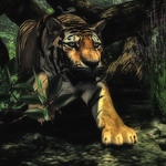 Profile Picture of Huffy (@huffy12389) on Flickr