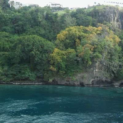 Profile Picture of Pam Harding (@PamHard27462735) on Twitter