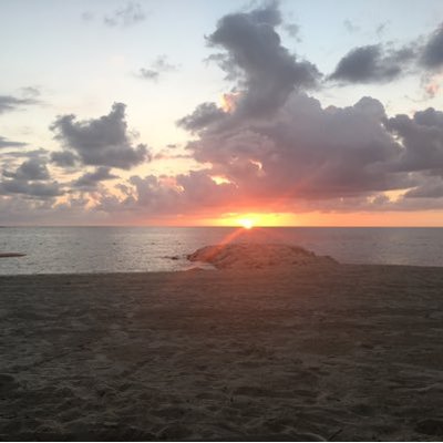 Profile Picture of Christopher Halsey (@gradstudnt4ever) on Twitter