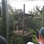 Profile Picture of Demetrius Atkins (@atkinsdemetrius) on Instagram