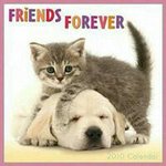 Profile Picture of celineschmidt2.1.2003 (@celine_schmidt_212003_) on Instagram