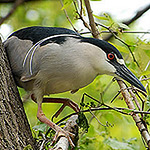 Profile Picture of David Weber (@dcphoto2469) on Flickr