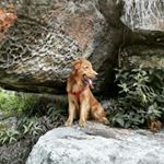 Profile Picture of Alex Mantilla (@mantillaalex) on Instagram