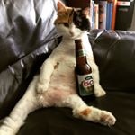 Profile Picture of Andréanne Dufresne (@andreanne.dufresne) on Instagram