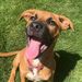 Profile Picture of Lilly Hrubala (@lilly_pup_) on Pinterest