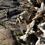 Profile Picture of Sylvain Savard (@ssavard_photo) on Flickr