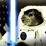 Profile Picture of Philip Byrd Jr. (@philipbyrdjr) on Instagram