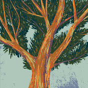 Profile Picture of Felipe Barron (@felipebarron6918) on Youtube