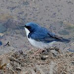 Profile Picture of Craig A Holden (@Craig A Holden) on Flickr