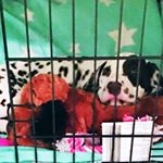 Profile Picture of Chase Clements (@chase_clements07) on Instagram