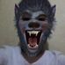Profile Picture of Daniel Racca (@daniel.racca.39) on Facebook