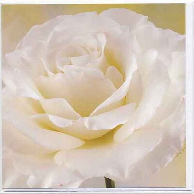 Profile Picture of Cindy Marie Hinds (@CindyMarieHinds) on Twitter