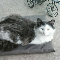 Profile Picture of Mimi Long (@mimi-long-1) on Quora