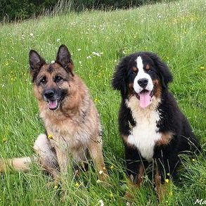 Profile Picture of Lucas James Veley (@JamesVeley) on Twitter