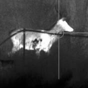 Profile Picture of Mark Crosby (@markcrosby5105) on Youtube