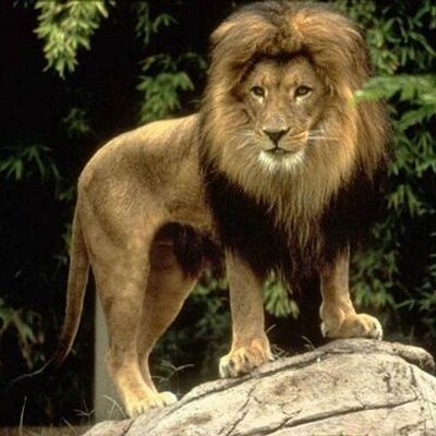 Profile Picture of Robert Caldera (@robert90_0) on Twitter