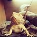 Profile Picture of Rex Ball (@Rex-Ball) on Facebook