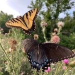 Zach Fischer - Instagram Profile Picture of Zach Fischer (@fischarefriends) on Instagram