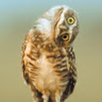 Profile Picture of Richard Rambo (@richard-rambo-2) on Quora