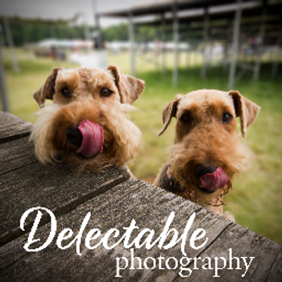 Profile Picture of Adam Sowers (@delectablephoto) on Twitter