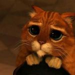 Profile Picture of David Posley (@posleydavid) on Instagram