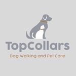 Profile Picture of Nicola Foster (@topcollars) on Instagram