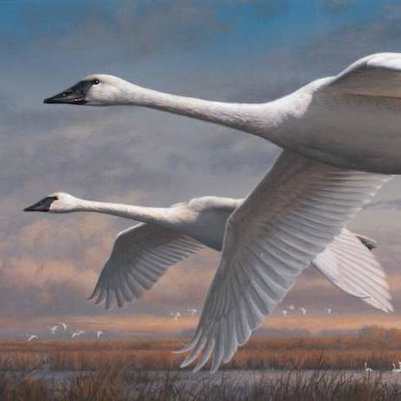 Profile Picture of Stacy Thornton (@coyotehombre) on Poshmark