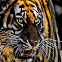 Profile Picture of Brad Bakken (@brad-bakken-4) on Quora