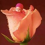 Profile Picture of Joseph Colasante (@jeff4568900) on Instagram