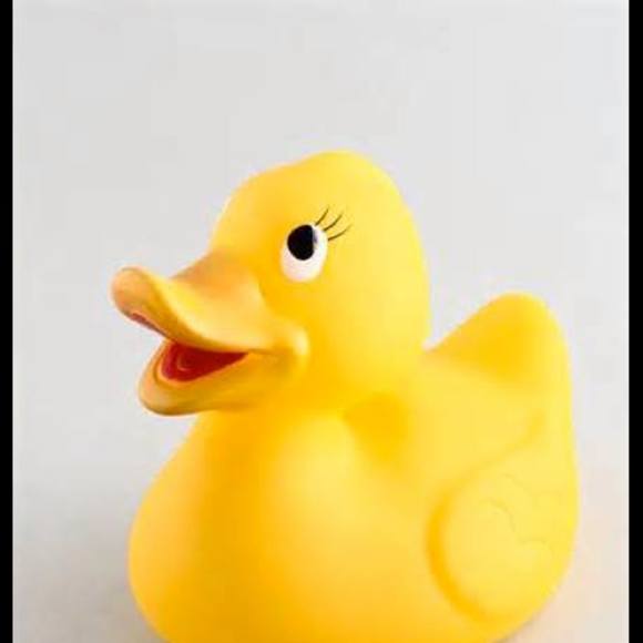 Profile Picture of Kathleen Schollian (@kbscho2) on Poshmark