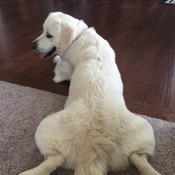 Profile Picture of Yun Jang (@chloejang) on Poshmark