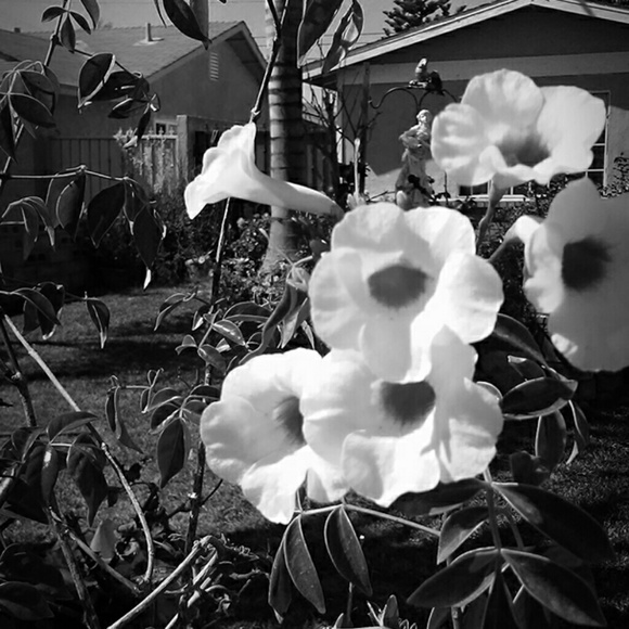 Ariana Briceno - Poshmark Profile Picture of Ariana Briceno (@ariuwu) on Poshmark