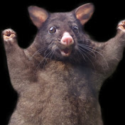 Profile Picture of Geoffrey Hall (@geoffreyhall2579) on Youtube