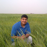 Profile Picture of Alaa  Hassan (@alaa alubaidi) on Flickr