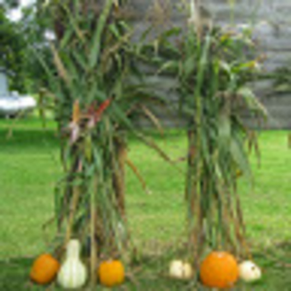 Profile Picture of Cline Farm (@clinefarm) on Poshmark