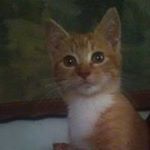 Profile Picture of James Marousek (@marousek689) on Instagram