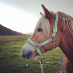 Profile Picture of Lea, Stern und Ylvy (@lea.leiler) on Instagram