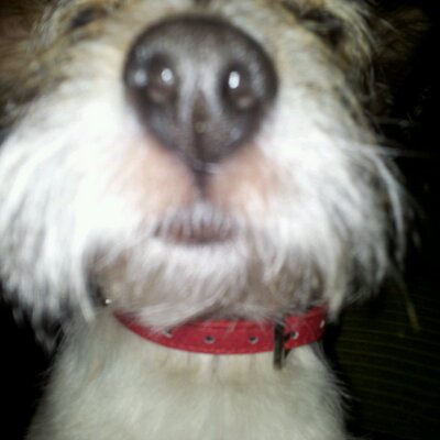 Profile Picture of Suzanne Wilkinson (@mrs_w_72) on Twitter